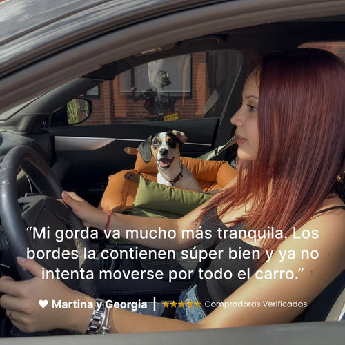 Silla de Lujo Valeo mascotasv