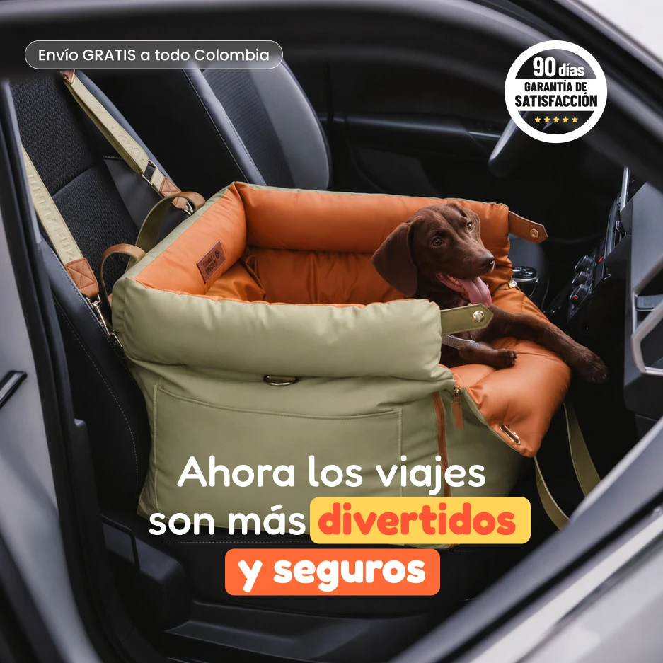 Silla de Lujo Valeo mascotas
