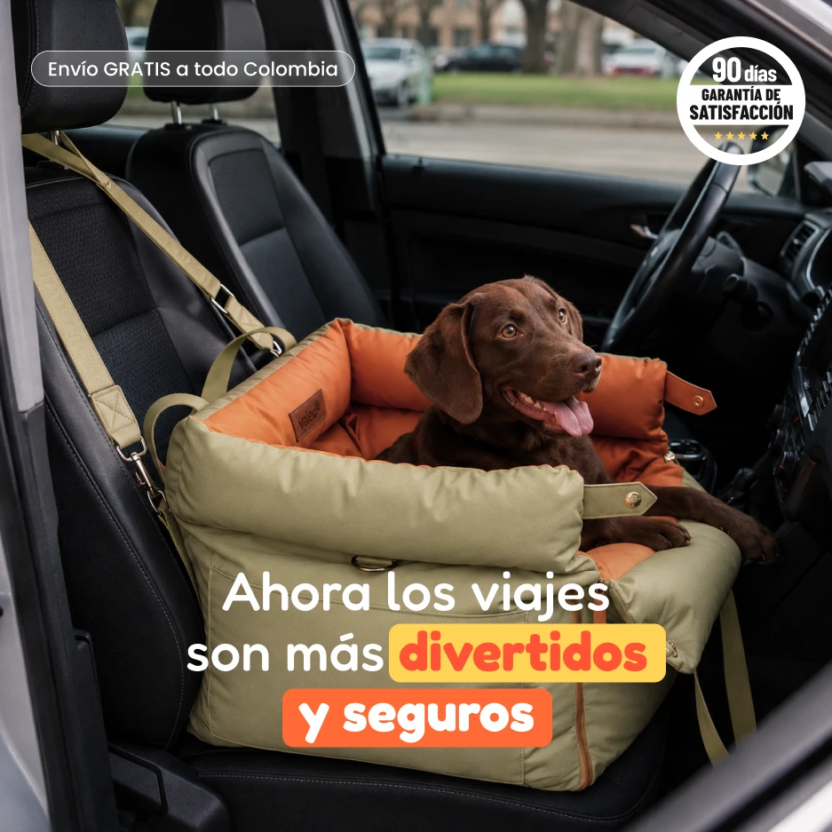 Silla de Lujo Valeo mascotas