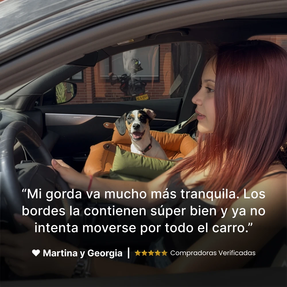 Silla de Lujo Valeo mascotas