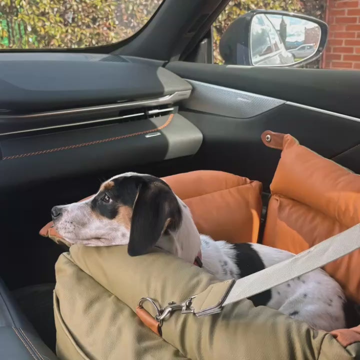 Silla de Lujo Valeo mascotas